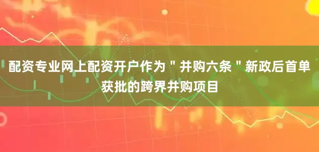 配资专业网上配资开户作为＂并购六条＂新政后首单获批的跨界并购项目