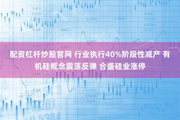 配资杠杆炒股官网 行业执行40%阶段性减产 有机硅概念震荡反弹 合盛硅业涨停